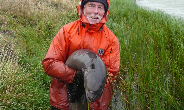 Dr Don Jellyman with longfin eel, Selwyn River, Canterbury. Credit NIWA
