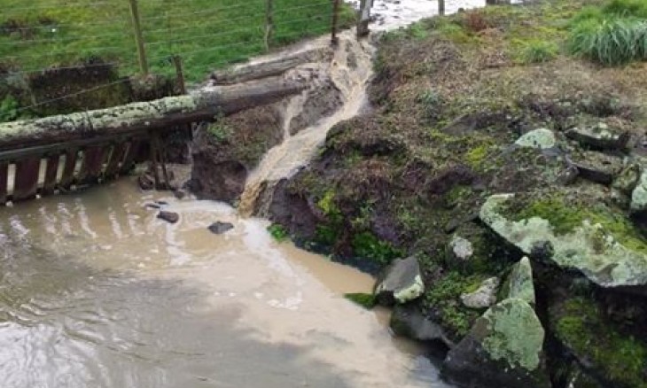 Southland sheep effluent. Credit Matt Coffey Aug 2018