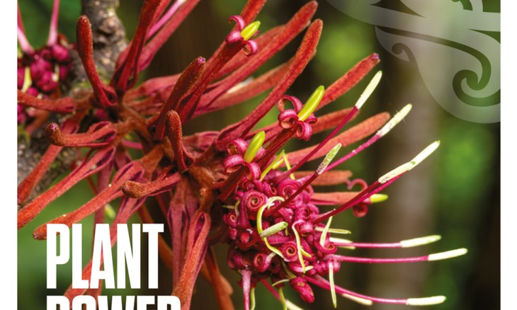 Forest & Bird Summer 2022 magazine cover