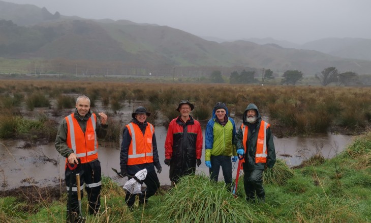 Former farm pasture restored to peat wetland on the Kāpiti Coast. Credit Wayne Mitchell