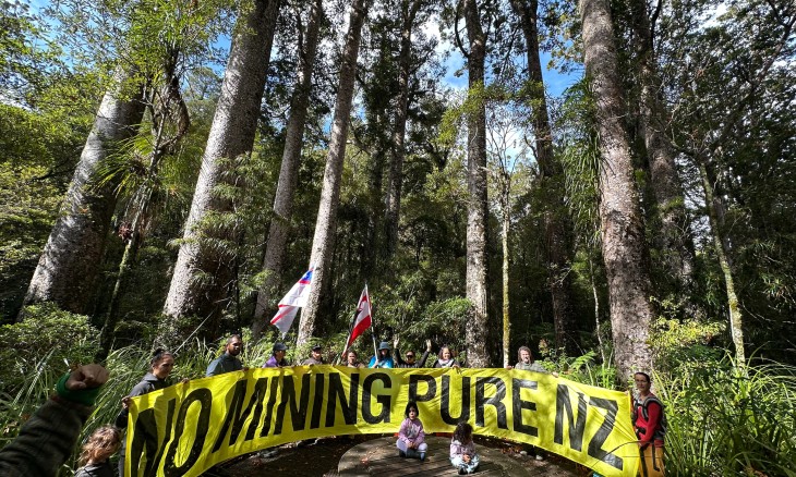 'No mining Pure NZ' banner at Manginangina kauri forest, Whangaroa