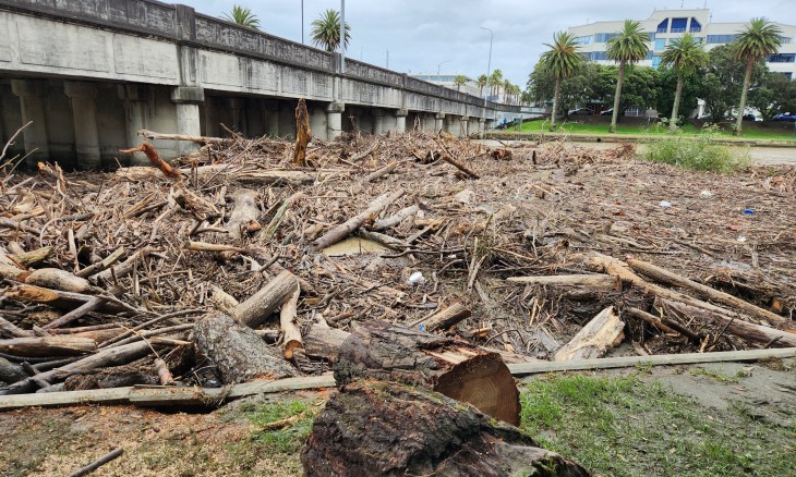 Forestry debris washed down from hillside ended up in local beaches and rivers. Gladstone Road Bridge, Waimata River, Gisborne. Image Barry Foster