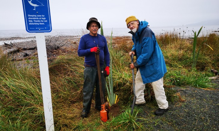 A Forest & Bird branch planting day at Taupata. Image Cynthis McConville