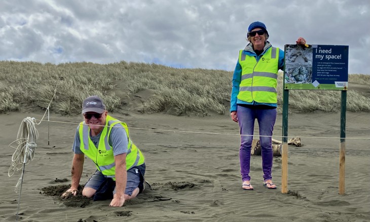 Lesley and Richard Gardner - Dotterel protectors in Te Henga