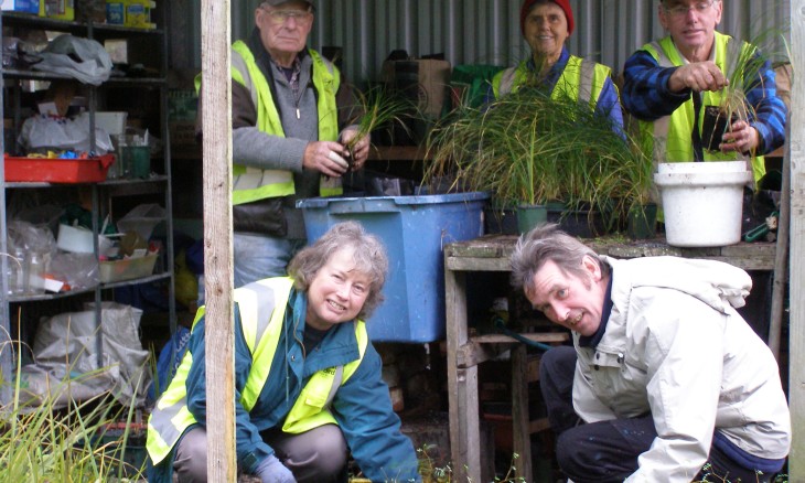 Group preparing native plants for planting