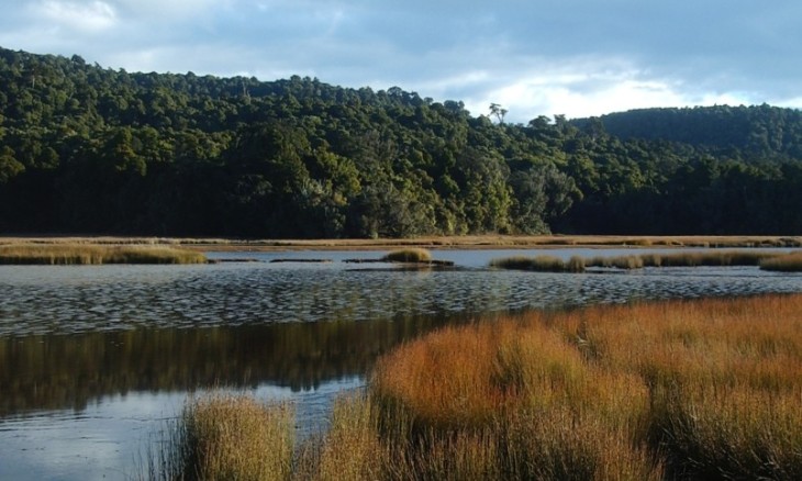 LENZ Reserve Tautuku Estuary boardwalk