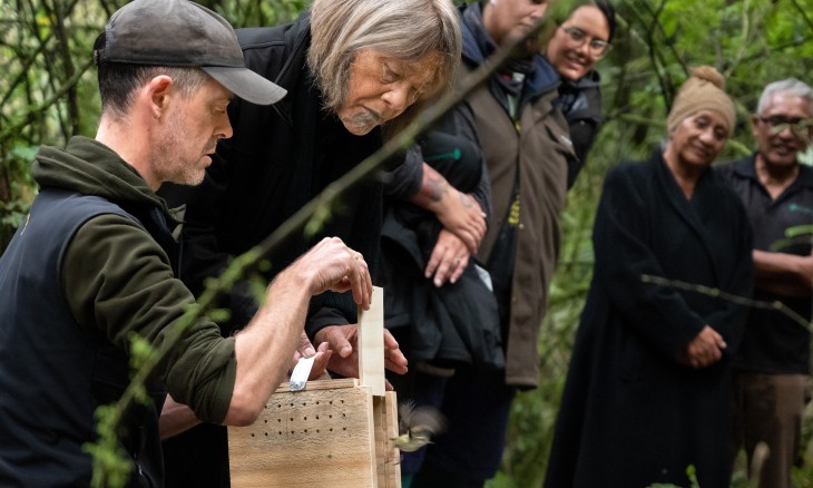 Translocation specialist Kevin Parker releases a titipounamu with (from left) Kura Niwa, Cordelle Rei, Sarah Mako, Yvette McGregor, and Danny Broughton. Image Jacqui McGowan