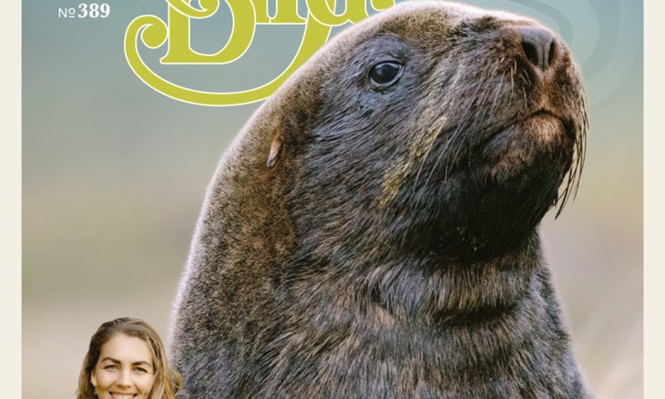 F&B magazine Spring 2023 cover with a seal