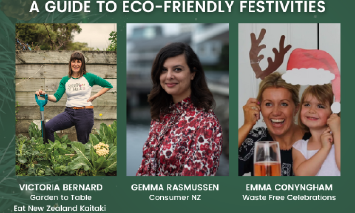 Poster for 'A guide to eco-friendly festivities'