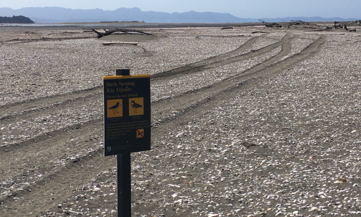 Golden Bay sandspit with tyre marks next to a sign about nesting birds