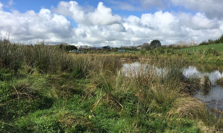 Owl Farm constructed wetland. Image NIWA