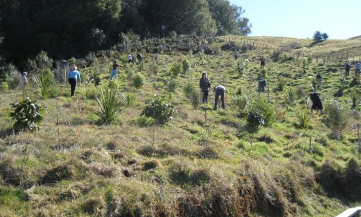 VBR restoration planting bee