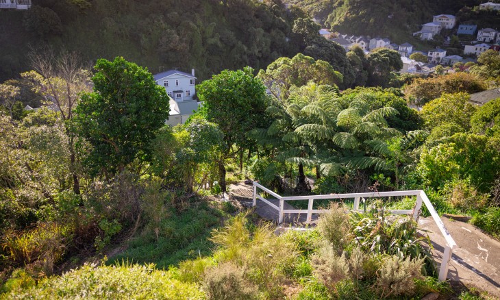 View of the Epuni Street steps area overlooking Aro Valley