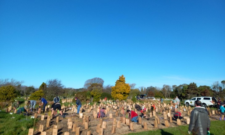 Restoration planting