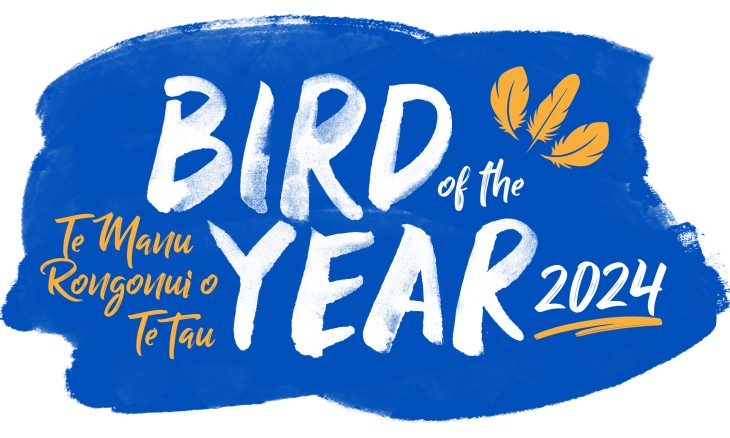 Bird of the Year 2024 Te Manu Rongonui o te Tau