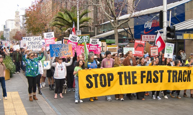 March for Nature protest in 2024, with a large "Stop the Fast Track" banner in the front