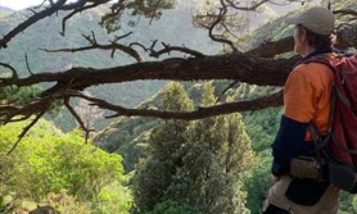 Chris Cosslett standing in the bush wearing a backpack