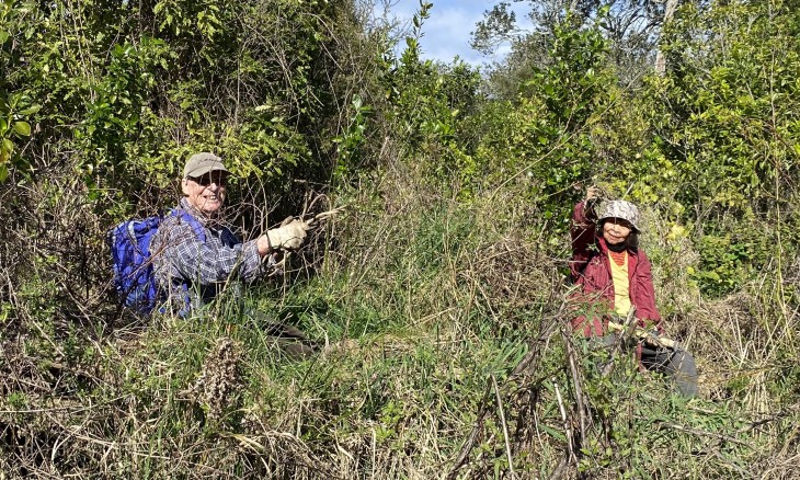 Two people in bush, holding up weeds