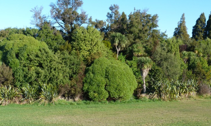 Marshall Place reserve Photo: Don Miller