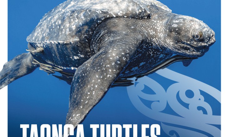 "Taonga turtles" cover for Summer 2024 magazine