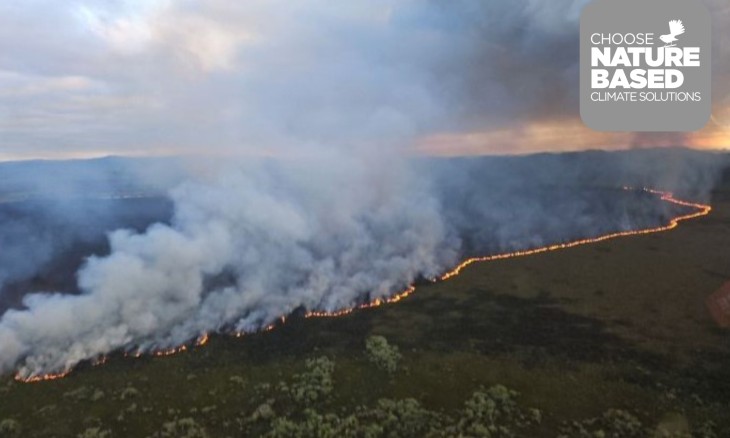 Whangamarino wetland fire, October 2024. FENZ