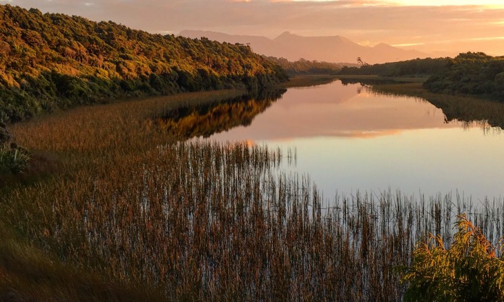 Wetland at Ship Creek South Westland. Image Geoff Keey