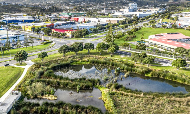 NBS resource back cover. Aerial view of Te  Kūkūwai o Toa Wetland, Porirua. Credit Rob Suisted