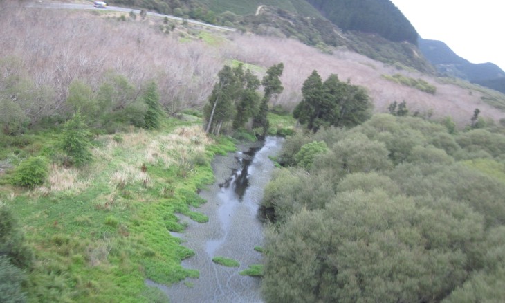 Picture of Para Wetland