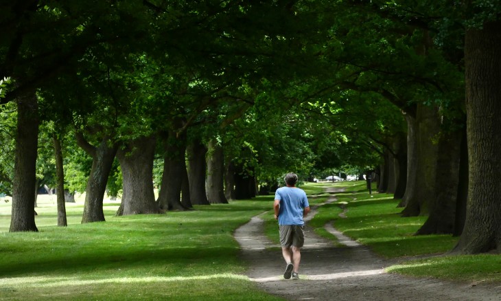 Hagley Park, Christchurch, was created in 1855 and is the city’s largest open space. Credit Bernard Spragg