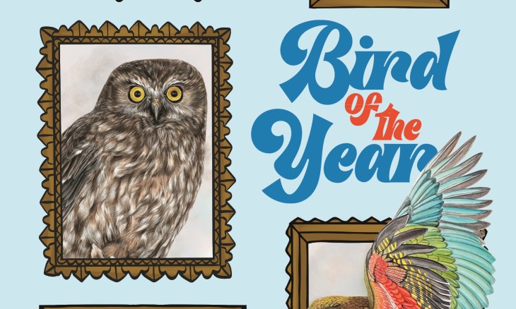 BOTY book cover