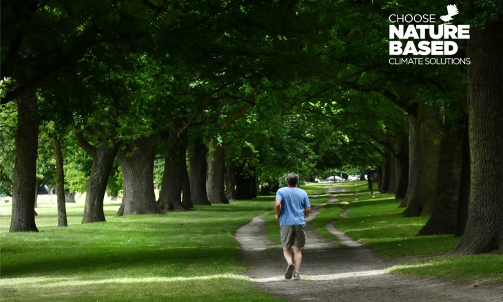 Hagley Park, Christchurch, was created in 1855 and is the city’s largest open space. Credit Bernard Spragg.