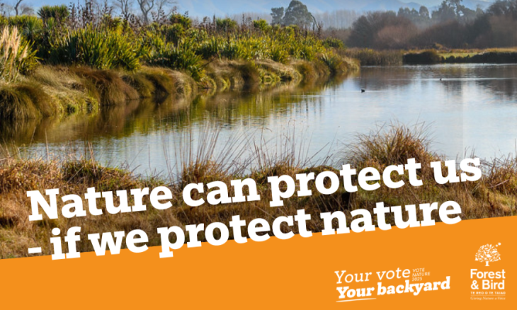 Local government election post image: Nature protects us