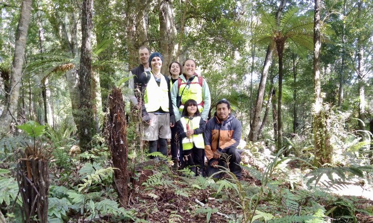 Searching for titipounamu nests. Credit Francesca Cunninghame