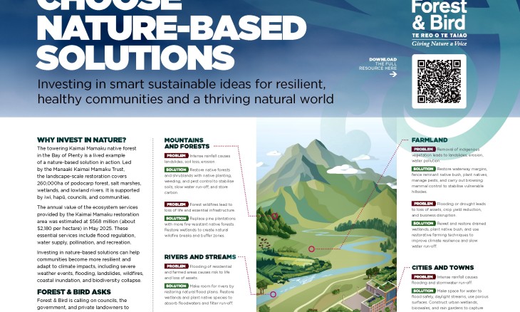 Nature-based solutions poster (landscape)