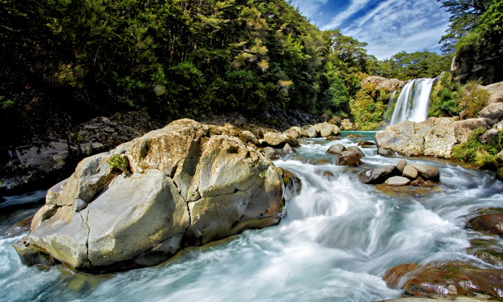 Ruapehu landscape and critters 2025_9