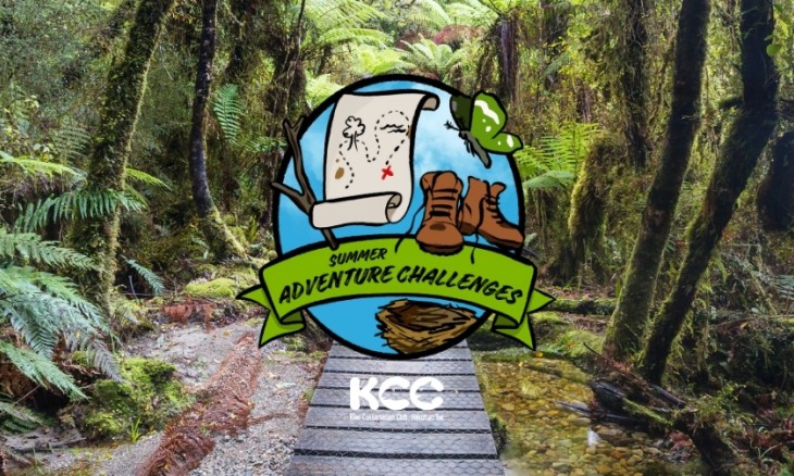 alternative banner sac