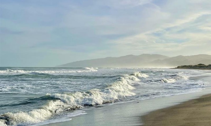 Southeast Coast of New Zealand’s North Island. Credit Edd Brooksbank