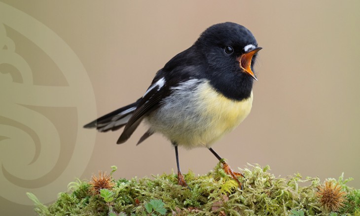 Legal Appeal 2025-2026 website banner