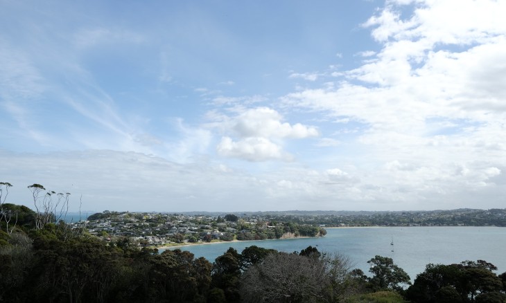 View from Pest Free Hibiscus Coast area. Credit Kasey McDonnell