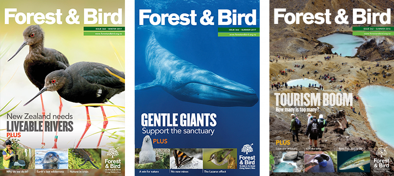 Forest & Bird Magazine cover samples