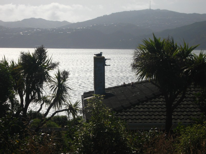 Matiu Somes Island lodge