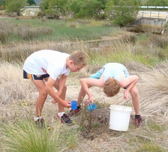 Two young folk planting a coastal ribbonwood at the Riwaka mouth sand spit