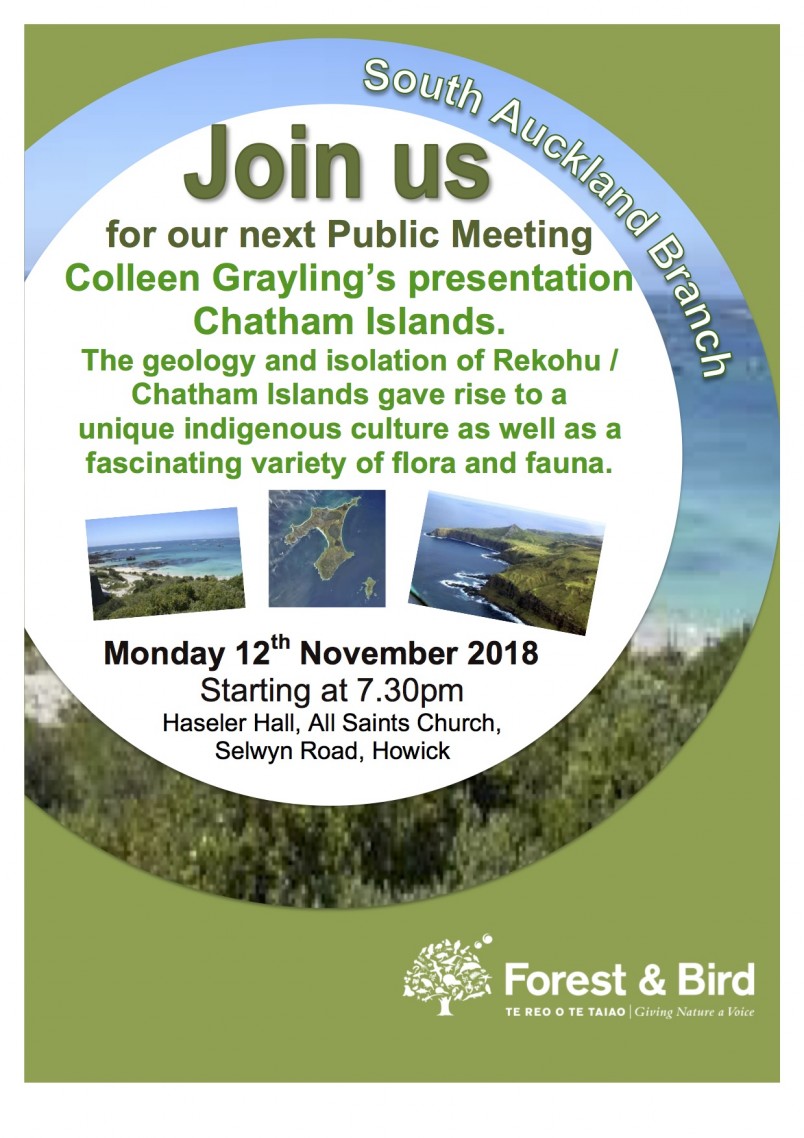 November Public Meeting