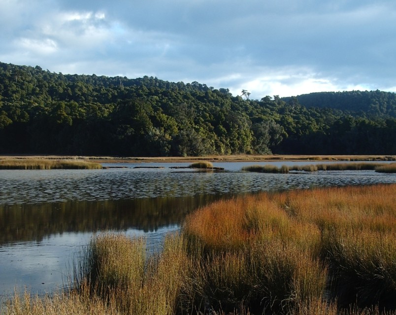 Tautuku estuary, Catlins