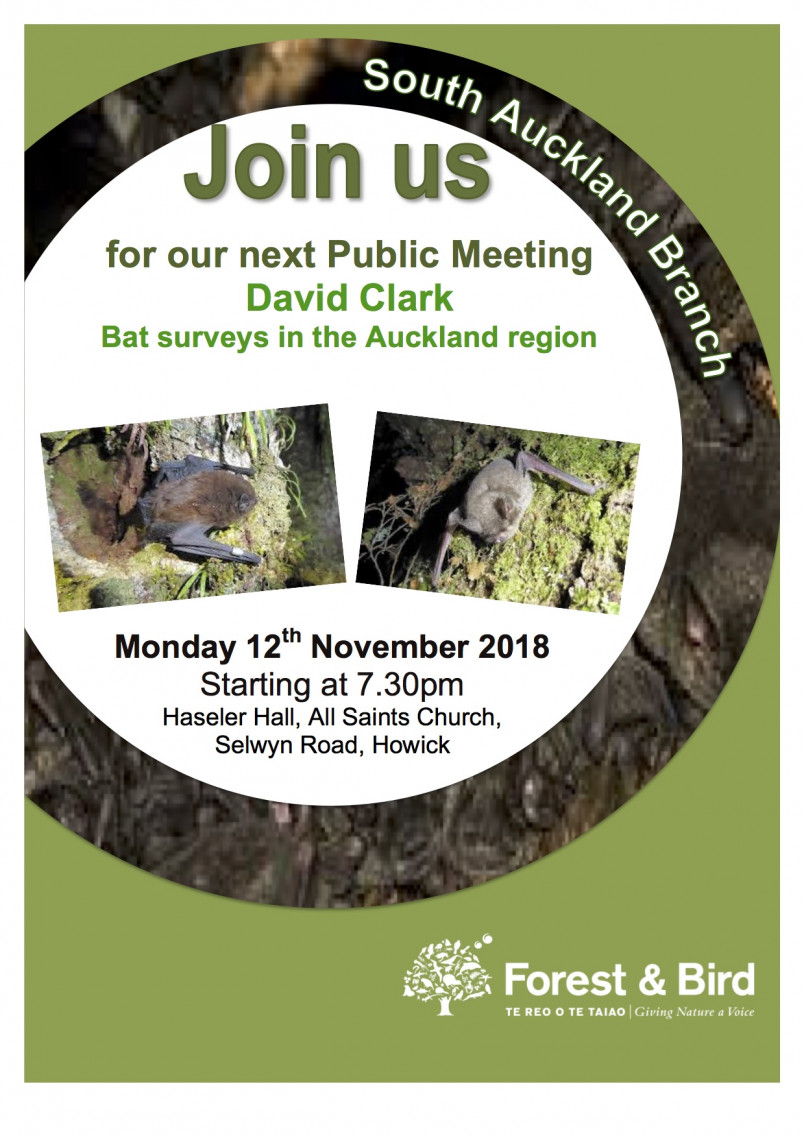 November Public Meeting