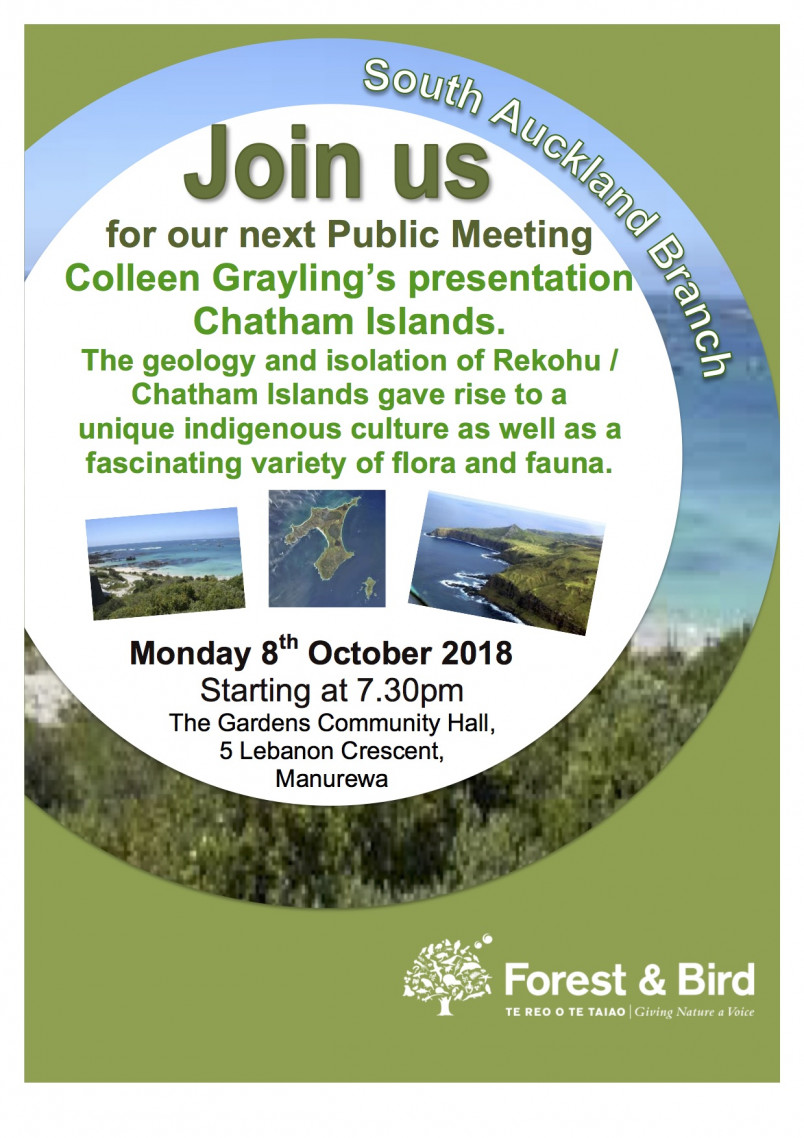 Public Meeting