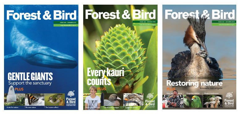 Magazine cover samples