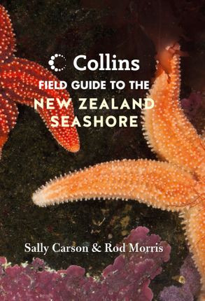 Collins Guide to the New Zealand Sea Shore book cover