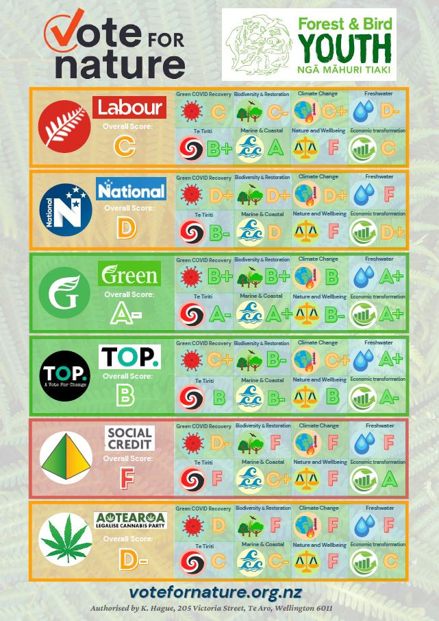 Detailed Youth Scorecard