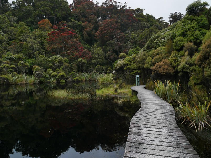 Rare coastal habitats such as Lake Wilkie’s bog lake ecosystem in the Catlins, Southland, are at risk from sea-level rise. Caroline Wood